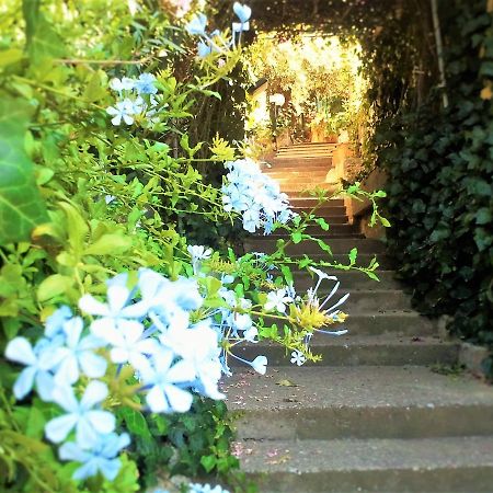 Delle Rose Bed and Breakfast Cefalù Εξωτερικό φωτογραφία