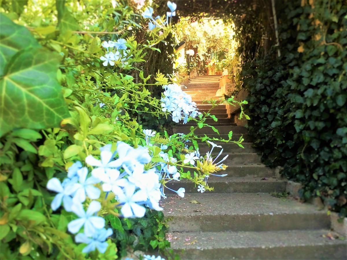 Delle Rose Bed and Breakfast Cefalù Εξωτερικό φωτογραφία
