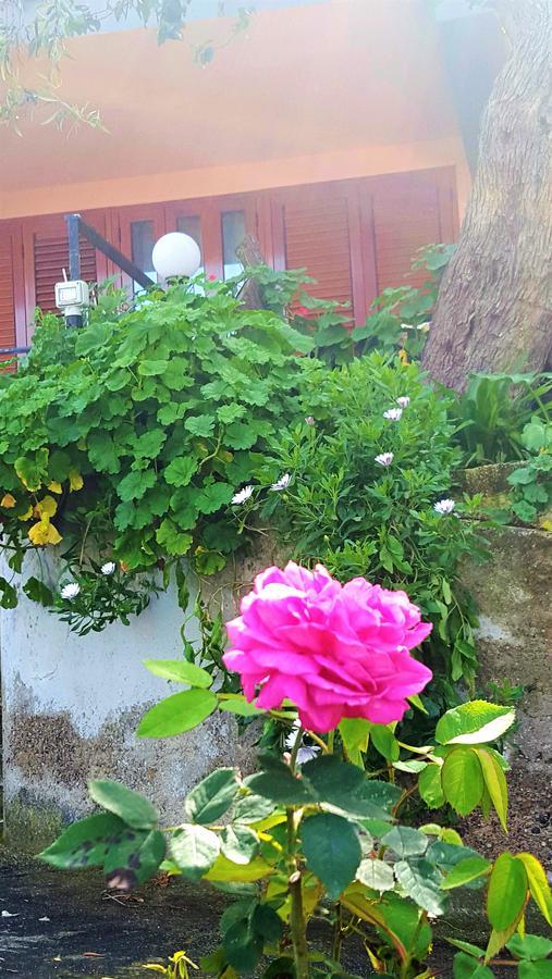Delle Rose Bed and Breakfast Cefalù Εξωτερικό φωτογραφία